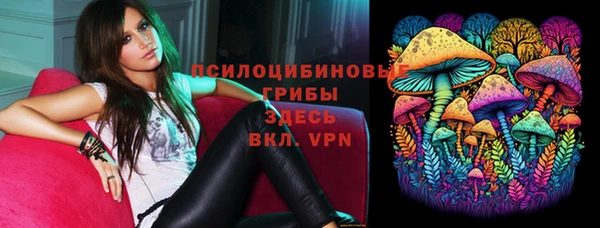 винт Аркадак