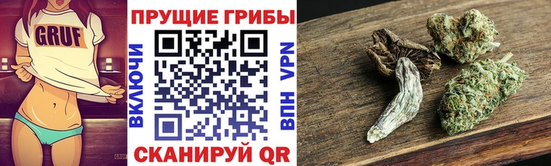 Псилоцибиновые грибы GOLDEN TEACHER  цена наркотик  Абдулино 